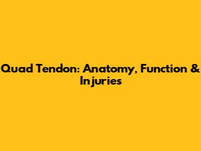 Quad Tendon: Anatomy, Function & Injuries