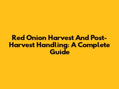 Red Onion Harvest And Post-Harvest Handling: A Complete Guide