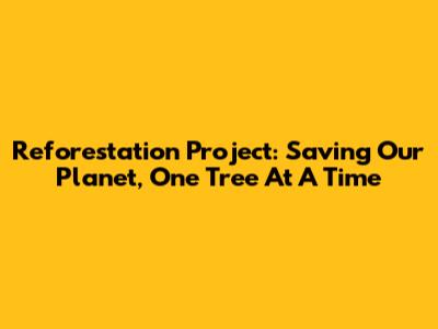 Reforestation Project: Saving Our Planet, One Tree At A Time