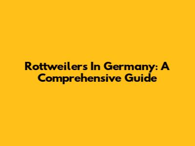 Rottweilers In Germany: A Comprehensive Guide