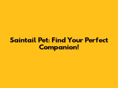 Saintail Pet: Find Your Perfect Companion!