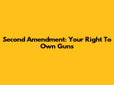 Second Amendment: Your Right To Own Guns