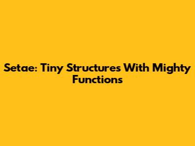 Setae: Tiny Structures With Mighty Functions