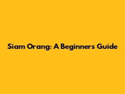 Siam Orang: A Beginner's Guide