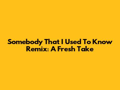 Somebody That I Used To Know Remix: A Fresh Take