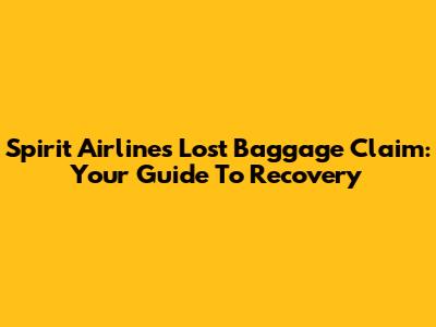 Spirit Airlines Lost Baggage Claim: Your Guide To Recovery