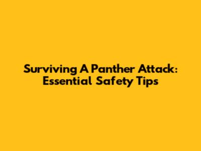 Surviving A Panther Attack: Essential Safety Tips