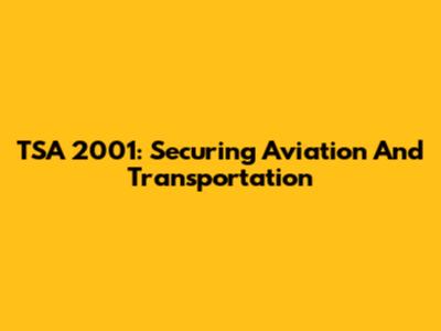 TSA 2001: Securing Aviation And Transportation