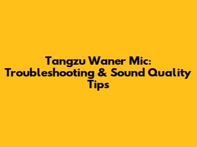Tangzu Wan'er Mic: Troubleshooting & Sound Quality Tips