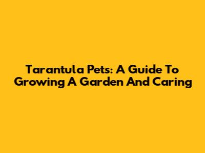 Tarantula Pets: A Guide To Growing A Garden And Caring