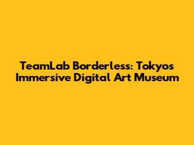 TeamLab Borderless: Tokyo's Immersive Digital Art Museum
