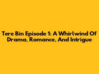 Tere Bin Episode 1: A Whirlwind Of Drama, Romance, And Intrigue