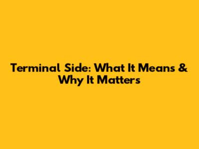 Terminal Side: What It Means & Why It Matters