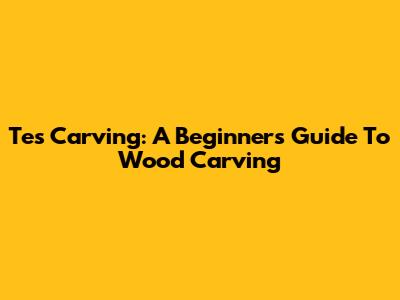 Tes Carving: A Beginner's Guide To Wood Carving