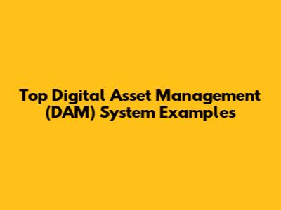 Top Digital Asset Management (DAM) System Examples