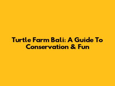 Turtle Farm Bali: A Guide To Conservation & Fun