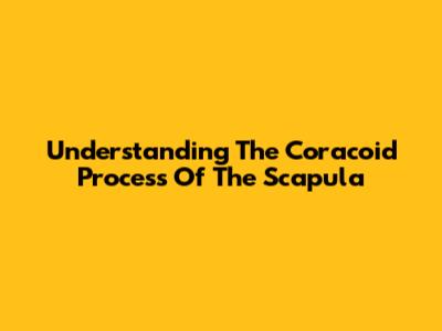 Understanding The Coracoid Process Of The Scapula