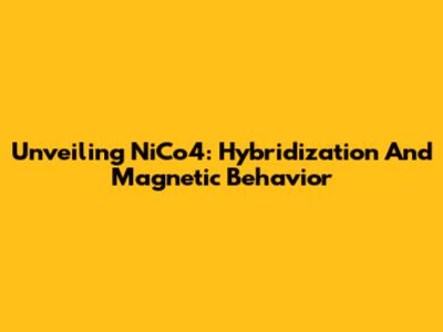 Unveiling NiCo4: Hybridization And Magnetic Behavior