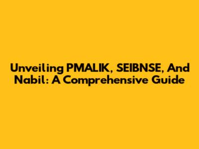 Unveiling PMALIK, SEIBNSE, And Nabil: A Comprehensive Guide