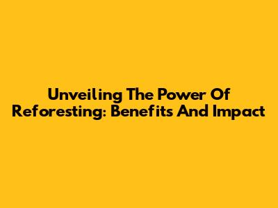 Unveiling The Power Of Reforesting: Benefits And Impact