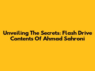 Unveiling The Secrets: Flash Drive Contents Of Ahmad Sahroni
