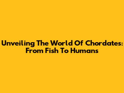 Unveiling The World Of Chordates: From Fish To Humans