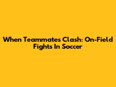 When Teammates Clash: On-Field Fights In Soccer