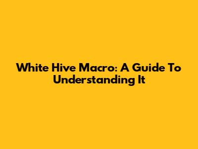 White Hive Macro: A Guide To Understanding It
