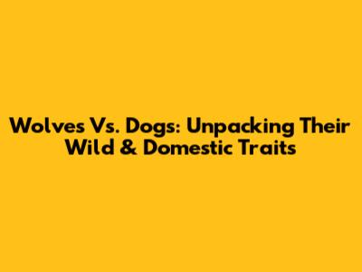 Wolves Vs. Dogs: Unpacking Their Wild & Domestic Traits