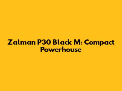Zalman P30 Black M: Compact Powerhouse
