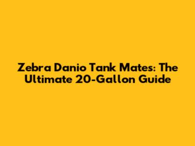 Zebra Danio Tank Mates: The Ultimate 20-Gallon Guide