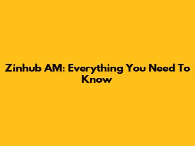 Zinhub AM: Everything You Need To Know