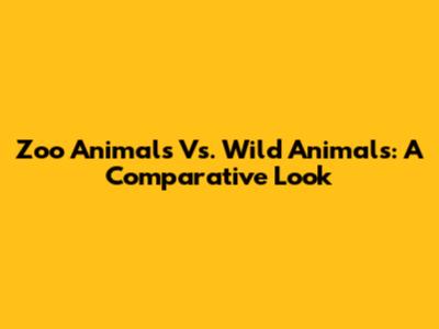 Zoo Animals Vs. Wild Animals: A Comparative Look